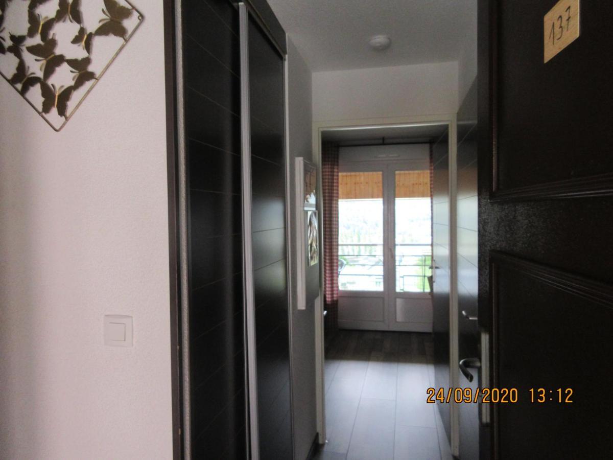 Studio Cerisema Pyrenees Zenith Luz-Saint-Sauveur Ngoại thất bức ảnh
